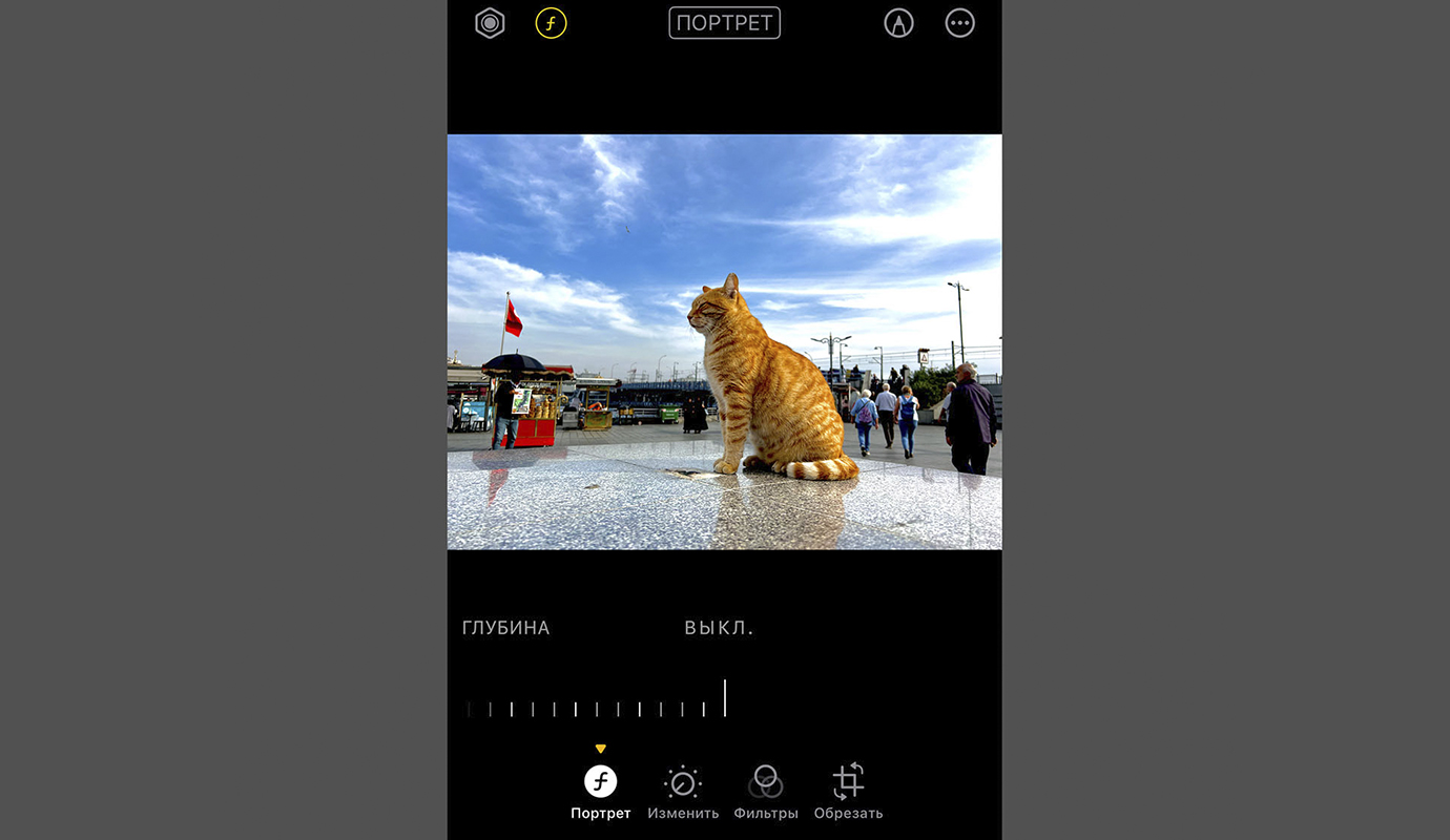 Как на iPhone отключить размытие фона в портретном фото - Блог Maxmobiles -  об Apple с любовью!