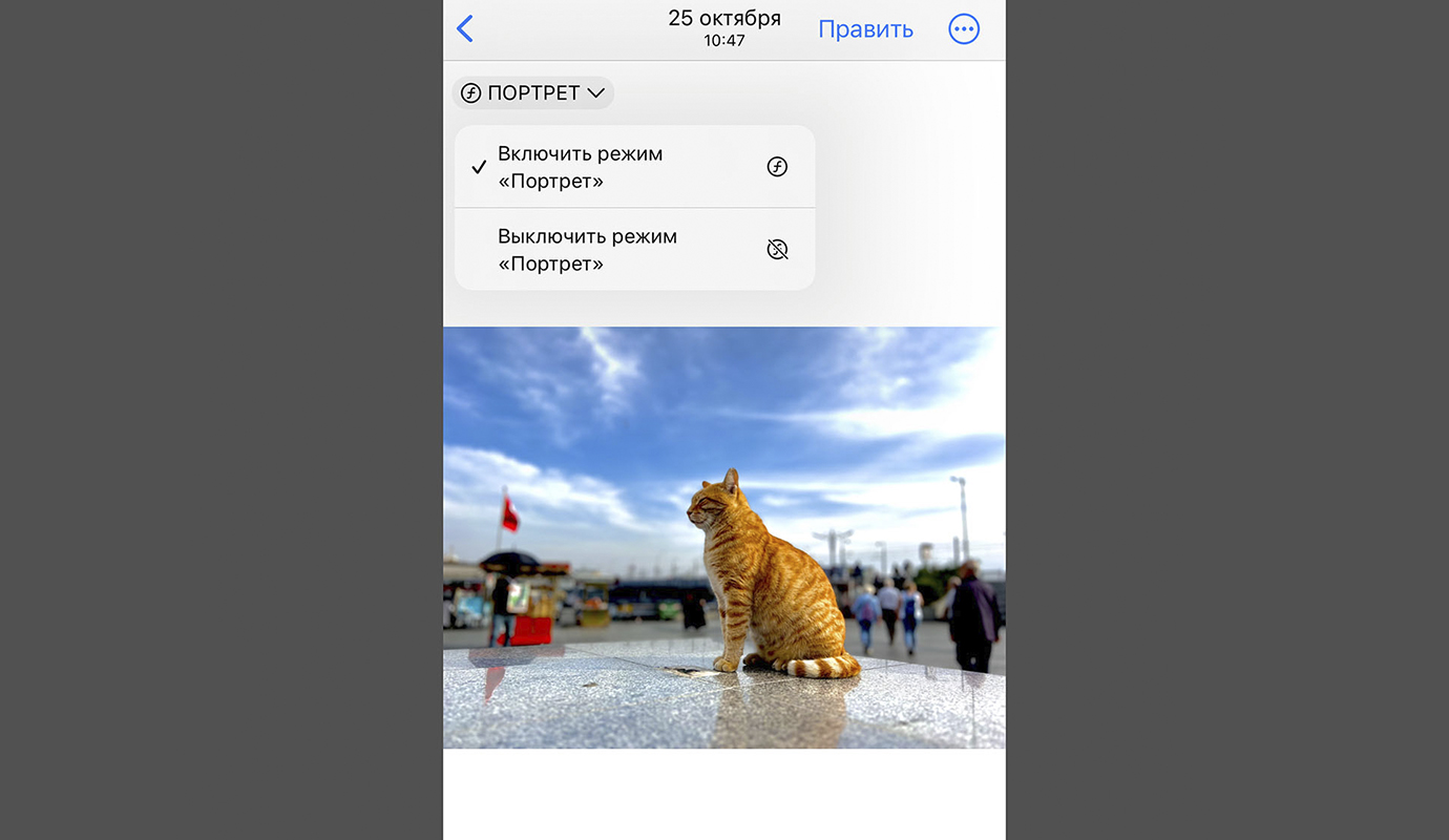 ❢ Как сделать красивый эффект боке на Iphone ❢ фотоподборка результата