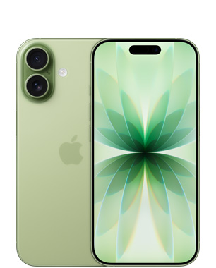 iPhone 17, Шалфей