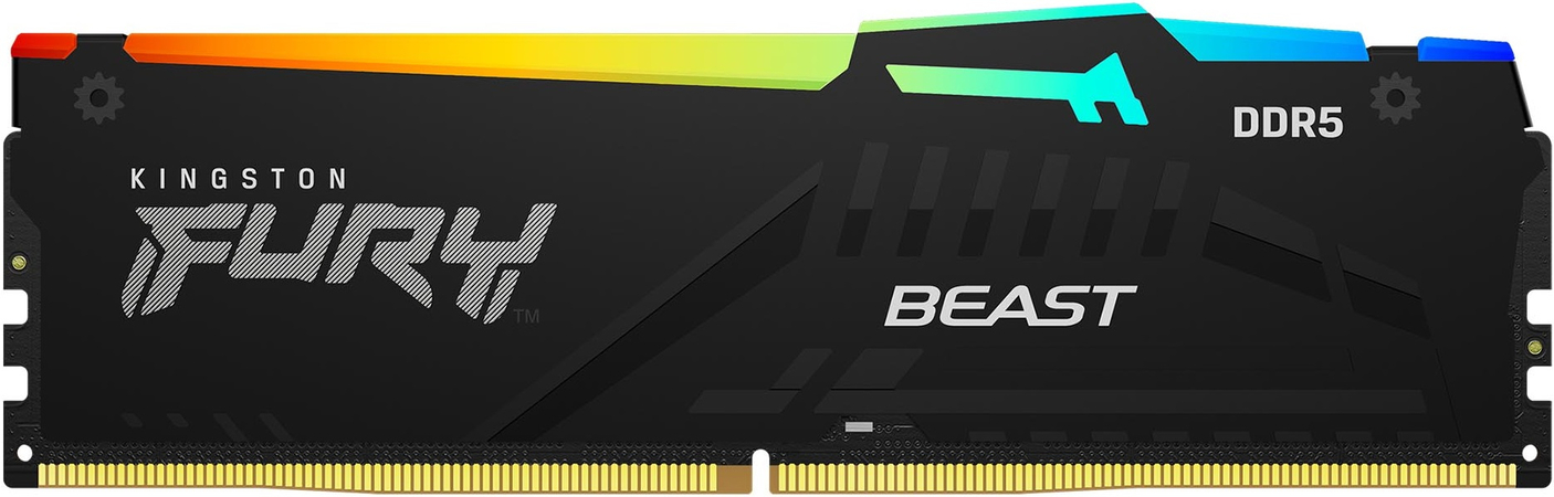 Оперативная память Kingston FURY Beast Black RGB (KF556C40BBA-32) 32 ГБ