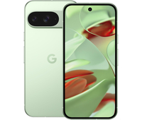 Google Pixel 9 12/128GB Wintergreen, Объем оперативной памяти: 12 ГБ, Объем встроенной памяти: 128 Гб, Цвет: Green / Зеленый