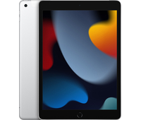 iPad 2021 Wi-Fi+Cellular 256Gb Silver, Объем встроенной памяти: 256 Гб, Цвет: Silver / Серебристый, Возможность подключения: Wi-Fi+Cellular