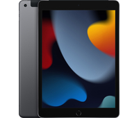 iPad 2021 Wi-Fi+Cellular 256Gb Space Grey, Объем встроенной памяти: 256 Гб, Цвет: Space Gray / Серый космос, Возможность подключения: Wi-Fi+Cellular
