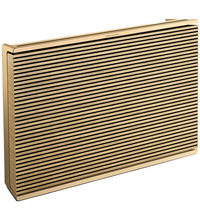 Портативная колонка Bang & Olufsen Beosound Level Gold Tone