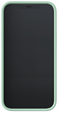 Чехол Richmond & Finch FW20 для iPhone 12 Pro Max, цвет Мятный (Sweet Mint) (R43033), изображение 2
