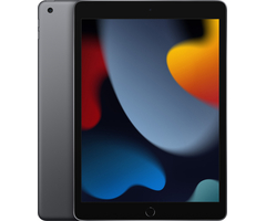 iPad 2021 Wi-Fi 256Gb Space Grey, Объем встроенной памяти: 256 Гб, Цвет: Space Gray / Серый космос, Возможность подключения: Wi-Fi