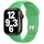 Ремешок для Apple Watch 42mm Green Sport Band (оригинал)