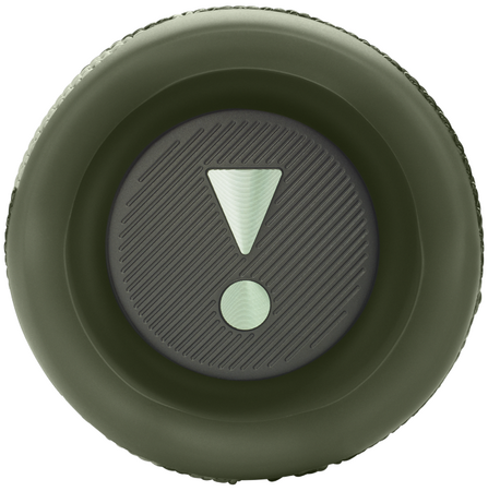 Колонка беспроводная JBL Flip 6 Камуфляж, Цвет: Squad / Камуфляж, изображение 5