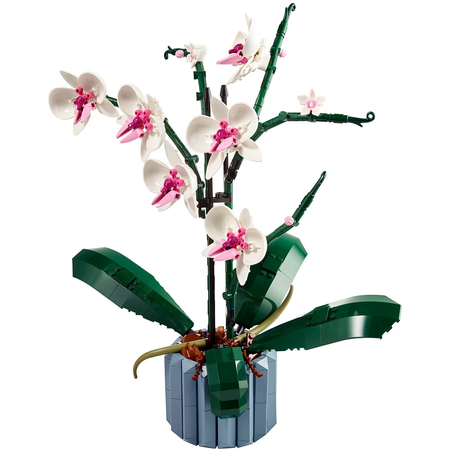 Конструктор Lego The Botanical Collection Orchid (10311)