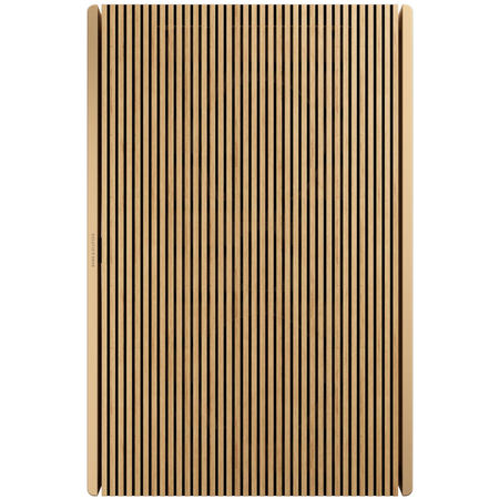 Портативная колонка Bang & Olufsen Beosound Level Gold Tone, изображение 2