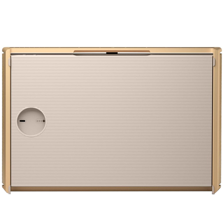 Портативная колонка Bang & Olufsen Beosound Level Gold Tone, изображение 7