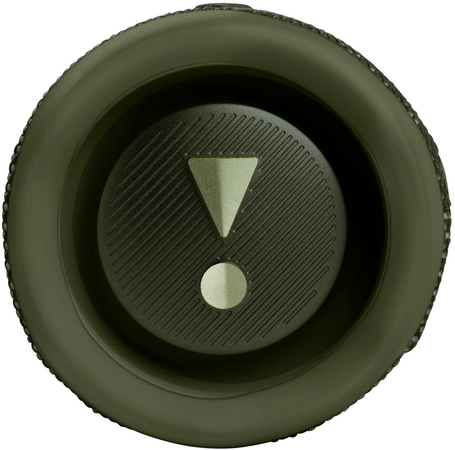 Колонка беспроводная JBL Flip 6 Green, Цвет: Green / Зеленый, изображение 4