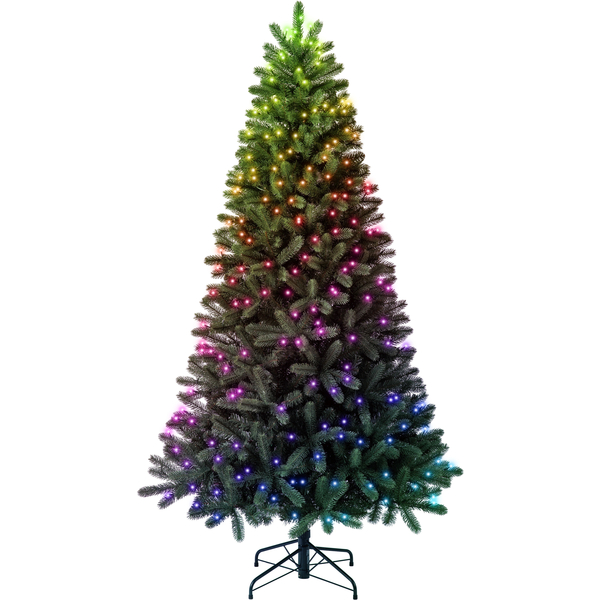 Новогодняя елка со светодиодной подсветкой Twinkly Pre-lit Regal Tree высота 2.1м диаметр 116 см - 435 диодов RGB+W+BT+Wi-Fi (TG70P4425P01)