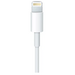Кабель Apple USB (M)- Lightning (M), 1 м, белый OEM, изображение 2