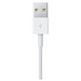 Кабель Apple USB (M)- Lightning (M), 1 м, белый OEM, изображение 3